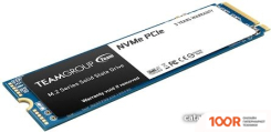 SSD Team MP33 256GB TM8FP6256G0C120 (6001)