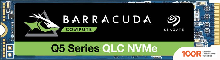 SSD Seagate BARRACUDA Q5 1TB ZP1000CV3A001 (5813)