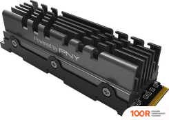 SSD PNY XLR8 CS3140 HEATSINK 2TB M280CS3140HS-2TB-RB (5641)