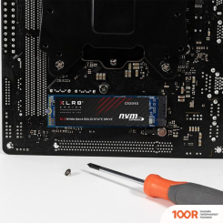 SSD PNY XLR8 CS3040 500GB M280CS3040-500-RB (5635)