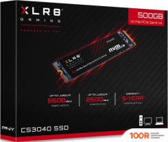 SSD PNY XLR8 CS3040 2TB M280CS3040-2TB-RB (5633)