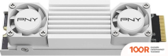 SSD PNY CS3150 HEATSINK 2TB M280CS3150HSW-2TB-RB (5620)