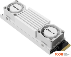 SSD PNY CS3150 HEATSINK 2TB M280CS3150HSW-2TB-RB (5620)