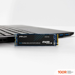 SSD PNY CS2130 500GB M280CS2130-500-RB (5617)