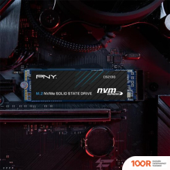 SSD PNY CS2130 2TB M280CS2130-2TB-RB (5616)
