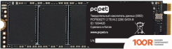SSD PC Pet 2TB PCPS002T1 (5557)
