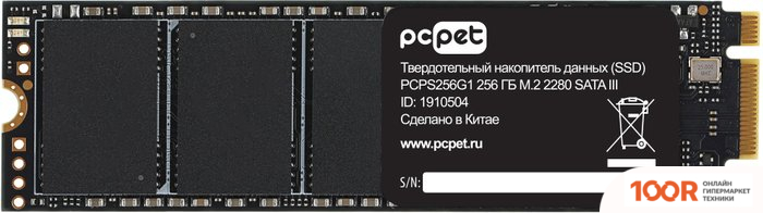 SSD PC Pet 256GB PCPS256G1 (5555)