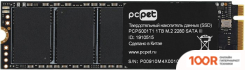 SSD PC Pet 1TB PCPS001T1 (5552)