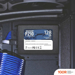 SSD Patriot P210 128GB P210S128G25 (5499)