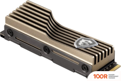 SSD MSI SPATIUM M480 PRO HS 2TB S78-440Q620-P83 (5365)