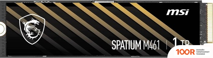 SSD MSI SPATIUM M461 1TB S78-440L1D0-P83 (5344)