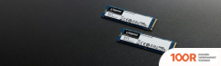 SSD Kingston NV1 250GB SNVS/250G (5115)