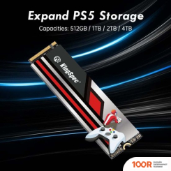 SSD KingSpec XG7000 PRO 512GB (5066)