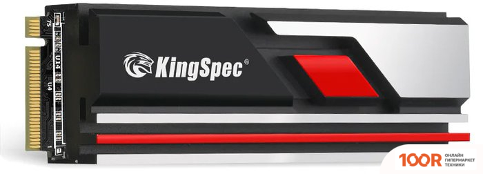 SSD KingSpec XG7000 PRO 512GB (5066)
