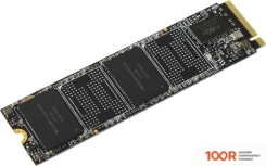 SSD Hikvision DESIRE(P) 1TB HS-SSD-DESIRE(P)/1024G (4850)