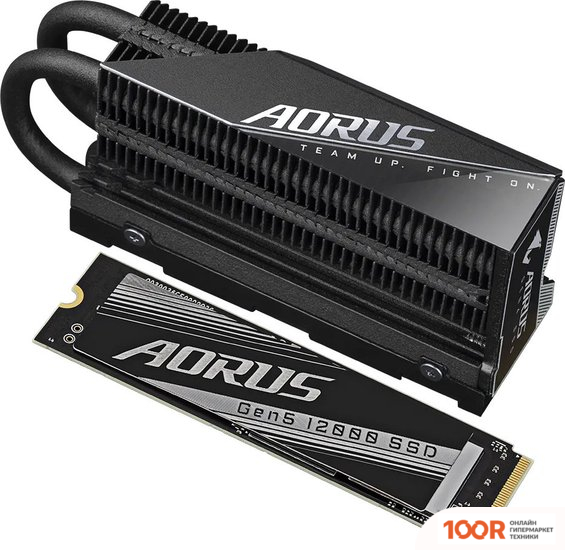 SSD Gigabyte AORUS GEN5 12000 2TB AG512K2TB (4765)