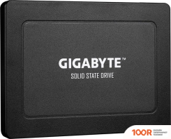 SSD Gigabyte 960GB GP-GSTFS31960GNTD-V (4747)