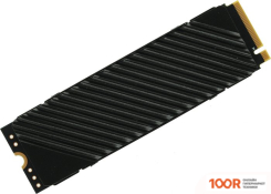 SSD Digma TOP G3 1TB DGST4001TG33T (4635)