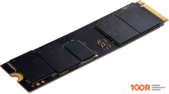 SSD Digma PRO TOP P8 4TB DGPST4004TP8T7 (4619)