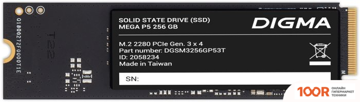 SSD Digma MEGA P5 256GB DGSM3256GP53T (4587)