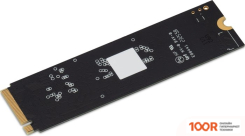 SSD Digma MEGA P5 256GB DGSM3256GP53T (4587)