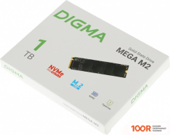 SSD Digma MEGA M2 1TB DGSM3001TM23T (4580)