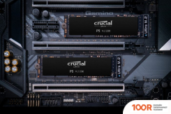 SSD Crucial P5 1TB CT1000P5SSD8 (4479)
