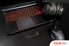 SSD Crucial P3 PLUS 500GB CT500P3PSSD8 (4474)