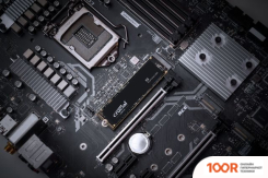 SSD Crucial P3 4TB CT4000P3SSD8 (4469)