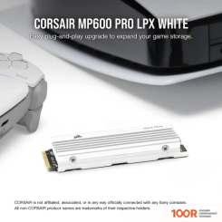 SSD Corsair MP600 PRO LPX 1TB CSSD-F1000GBMP600PLPW (4439)