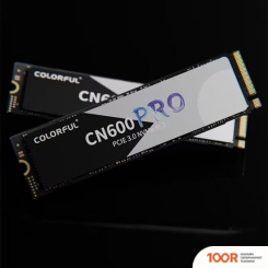 SSD Colorful CN600 PRO 2TB (4395)