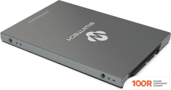 SSD Biwin SX500 256GB 52S3A8Q#G (4350)
