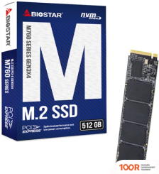 SSD BIOSTAR M760 512GB M760­-512GB (4335)