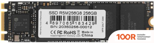 SSD AMD RADEON R5 256GB R5M256G8 (4215)