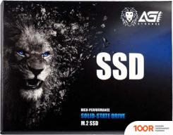 SSD AGI AI198 256GB AGI256G66AI198 (4163)