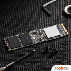 SSD ADATA XPG SX8100 512GB ASX8100NP-512GT-C (4127)