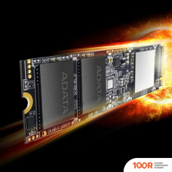 SSD ADATA XPG SX8100 1TB ASX8100NP-1TT-C (4123)