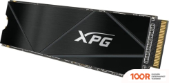 SSD ADATA XPG GAMMIX S50 1TB SGAMMIXS50C-1000G-CS (4092)