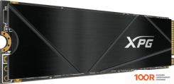 SSD ADATA XPG GAMMIX S50 1TB SGAMMIXS50C-1000G-CS (4092)