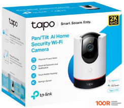 IP-камера TP-Link TAPO C225 (3451)