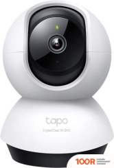 IP-камера TP-Link TAPO C220 (3450)