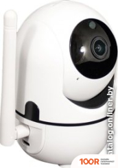 IP-камера Tantos IРОТОР ПЛЮС (3255)