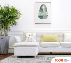 IP-камера SJCAM S1 (БЕЛЫЙ) (3239)