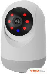 IP-камера Ritmix IPC-220-TUYA (3219)