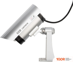 IP-камера Rexant 45-0307 (3213)