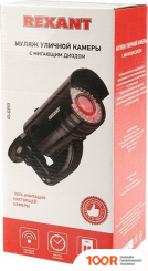 IP-камера Rexant 45-0250 (3208)