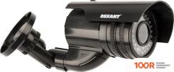 IP-камера Rexant 45-0250 (3208)