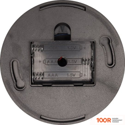 IP-камера Rexant 45-0230 (3206)