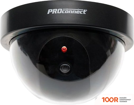 IP-камера Rexant 45-0220 (3205)