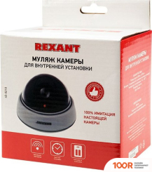 IP-камера Rexant 45-0210 (3204)